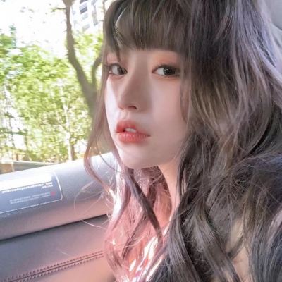 口袋冒险记官方正版